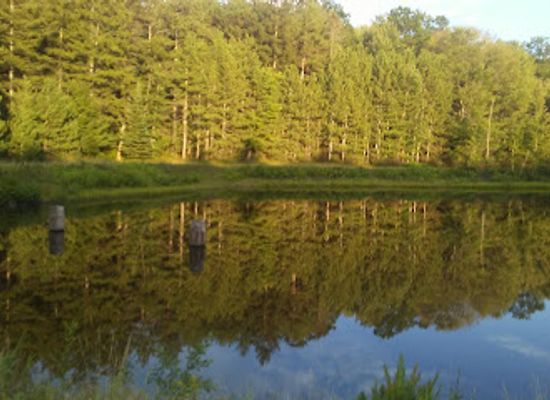 pennsylvania/appalachian-mountains/attraction/s-b-elliott-state-park
