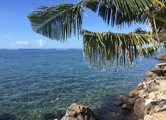 american-samoa/manu-a-islands/attraction/palolo-deep-marine-reserve