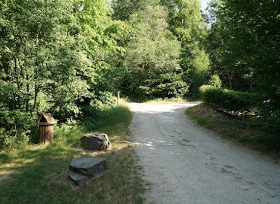 luxembourg/diekirch/attraction/teich