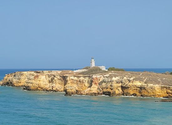 puerto-rico/big-island/attraction/bosque-estatal-de-boqueron