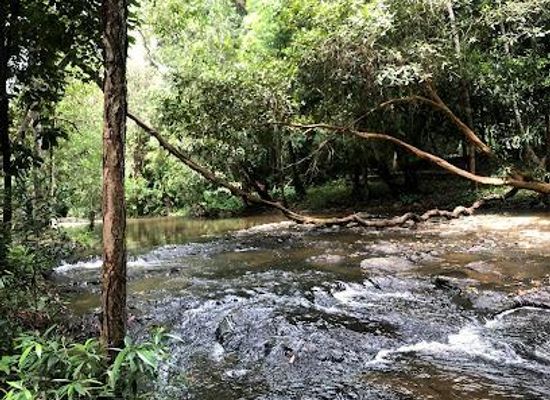 cambodia/siem-reap/attraction/phnom-kulen