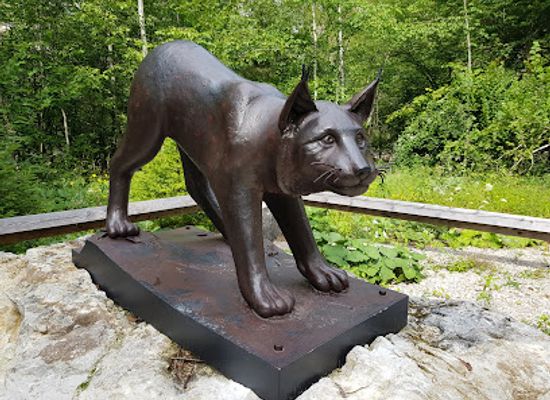 austria/kalkalpen-national-park/attraction/luchs-denkmal