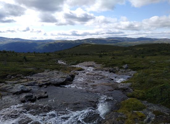 norway/rondane-national-park/attraction/dovre-national-park