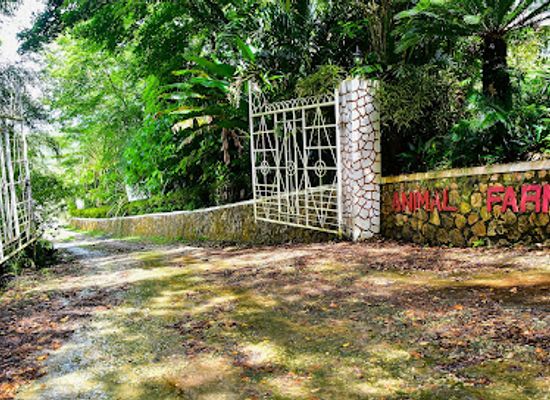 jamaica/cornwall-county/attraction/animal-farm-nature-reserve