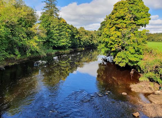 ireland/county-donegal/attraction/drumboe-woods