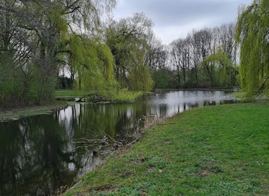 netherlands/gelderland/attraction/immerloo-park