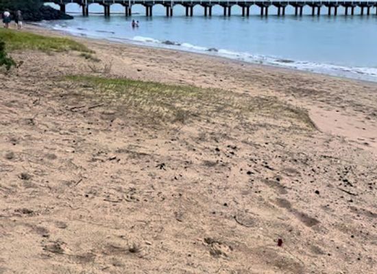 australia/fraser-island/attraction/urangan-beach