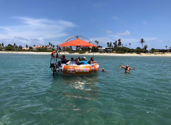 aruba/california-lighthouse/attraction/octopus-aruba-sailing-snorkeling-sunset-private-tours