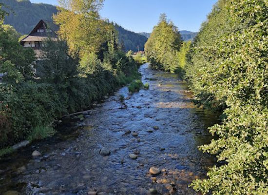 germany/black-forest/attraction/gutach-bach-mit-wasserfall