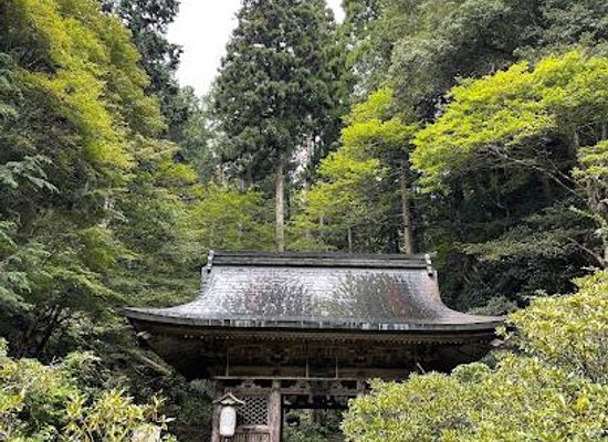 japan/kyoto/attraction/shimyo-in-temple