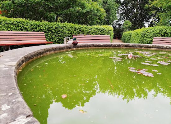 germany/lubeck/attraction/goldfischbrunnen