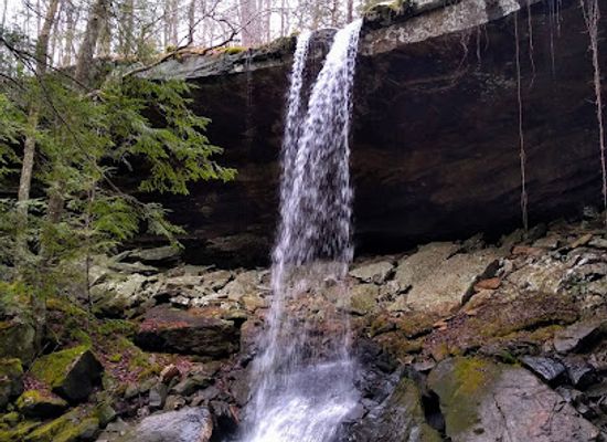 alabama/sipsey-wilderness/attraction/holmes-chapel-falls