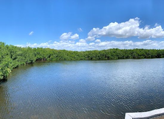 florida/sun-coast/attraction/weedon-island-preserve-cultural-and-natural-history-center