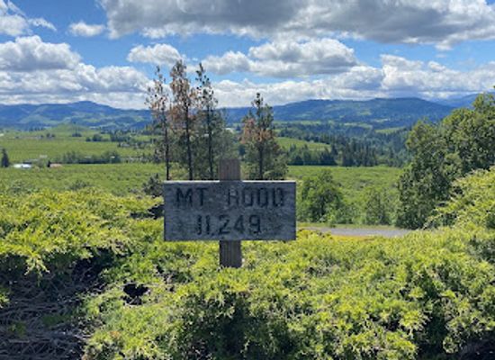 washington/columbia-river-gorge/attraction/panorama-point