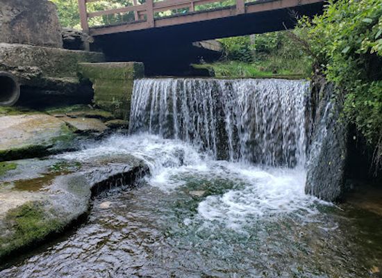kentucky/elizabethtown/attraction/saunders-springs-nature-preserve