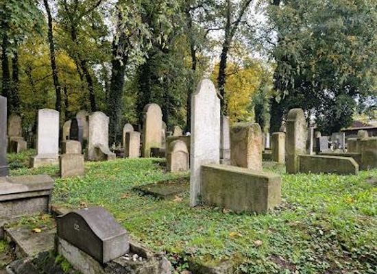 poland/krakow/attraction/krakow-new-jewish-cemetery