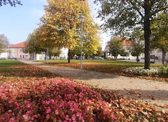 croatia/banovina/attraction/ziva-rijec-pripovijedanje-i-turisticko-vodenje