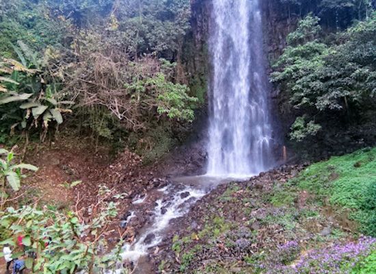 cameroon/dschang/attraction/waterfall