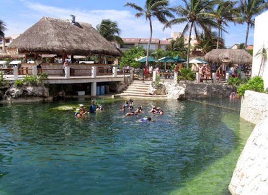 mexico/cozumel/puerto-aventuras/attraction/dolphin-discovery-riviera-maya