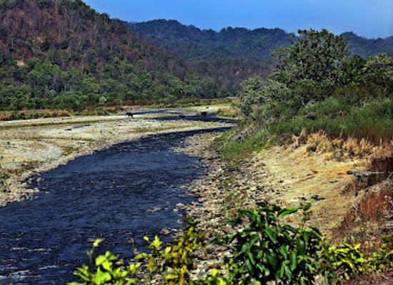 india/uttarakhand/attraction/jim-corbett-national-park-uttarakhand-india