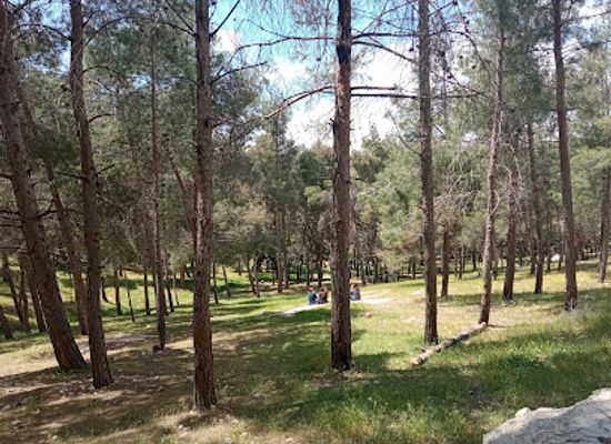 jordan/dibeen-forest/attraction/amman-national-park