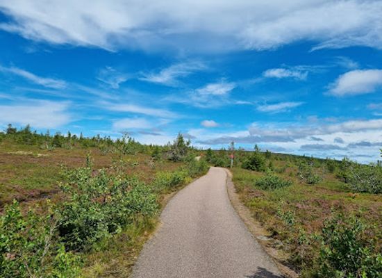 sweden/salen/attraction/hogfjallet-wanderweg