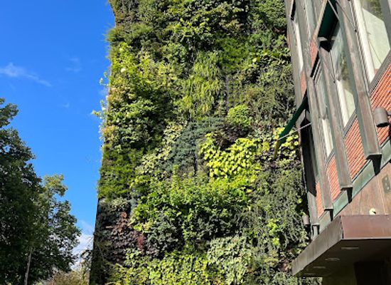 sweden/stockholm/ostermalm/attraction/wall-of-plants