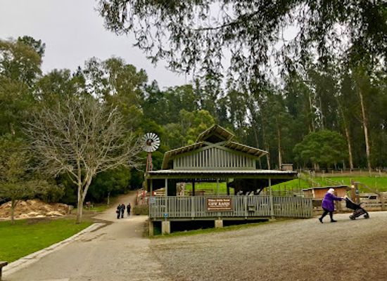california/berkeley/attraction/tilden-nature-area-environmental-education-center