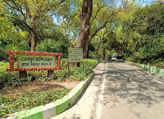 india/kanpur/govind-nagar/attraction/kanpur-zoological-park