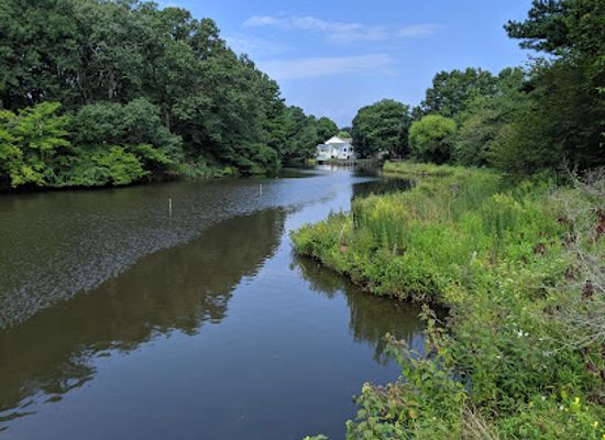 delaware/the-lewes-and-rehoboth-canal-area/attraction/silver-lake