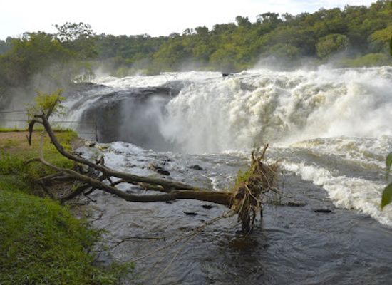 uganda/karamoja/attraction/4-days-murchison-falls-safaris