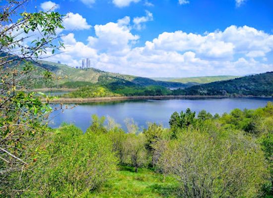 turkiye/ankara/attraction/metu-forest