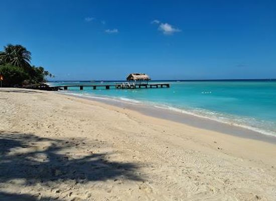 trinidad-and-tobago/st-patrick/attraction/pigeon-point-beach