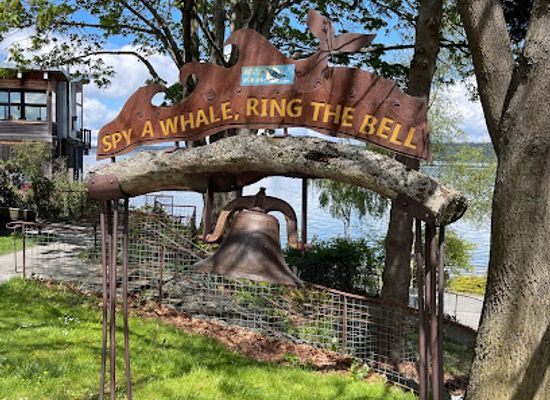 washington/whidbey-island/attraction/hope-the-wishing-whale