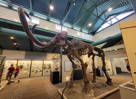 florida/southwest-florida/attraction/silver-river-museum-environmental-education-center