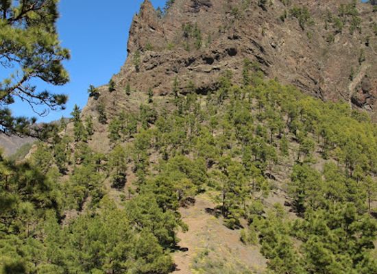 spain/teide-national-park/attraction/mirador-lomo-de-las-chozas
