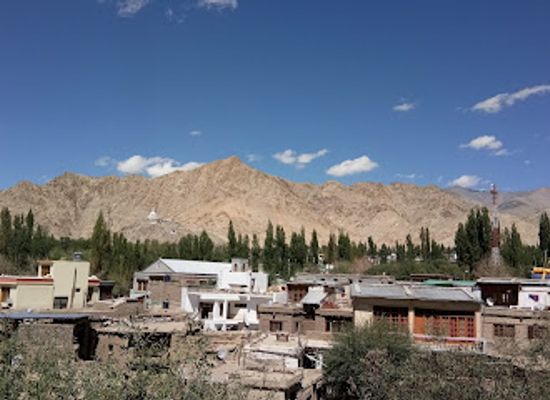 india/ladakh/attraction/central-asian-museum