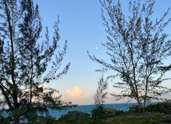 the-bahamas/inagua/attraction/farquharson-beach