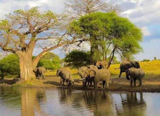 tanzania/morogoro/attraction/africasana-tours-and-safaris-company