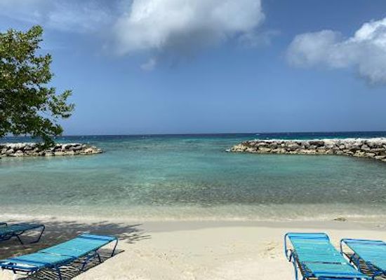aruba/savaneta/attraction/palm-island