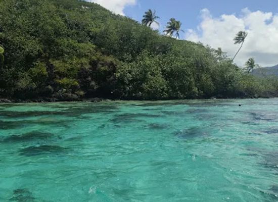 french-polynesia/huahine/attraction/huahine-dream-tours