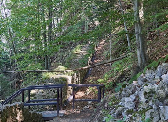 poland/pieniny-mountains/attraction/zamek-pieninski