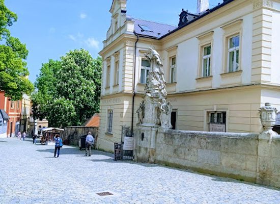 czechia/vysocina/attraction/dacickeho-house