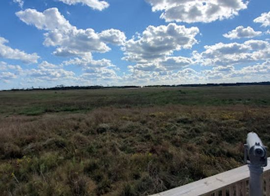 virginia/tidewater/attraction/wildlife-loop