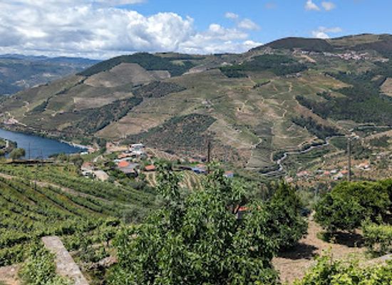 portugal/douro-valley/attraction/d-origem-museu-do-azeite