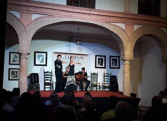 spain/andalusia/attraction/tablao-flamenco-el-cardenal