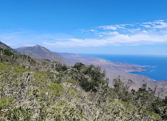 chile/coquimbo-region/attraction/parque-nacional-fray-jorge