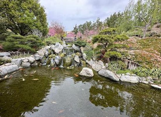 mexico/tijuana/attraction/japanese-friendship-garden-and-museum