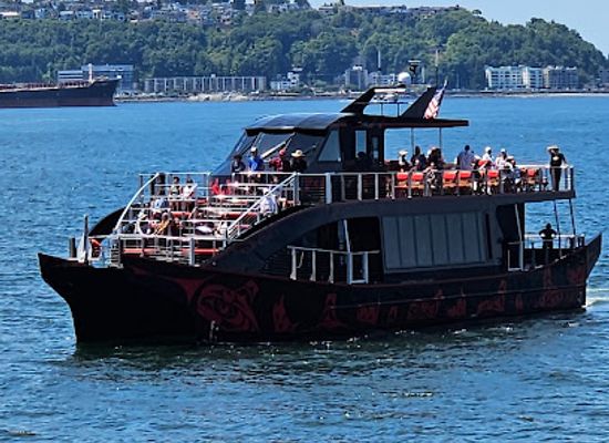 washington/puget-sound/attraction/salish-sea-tours