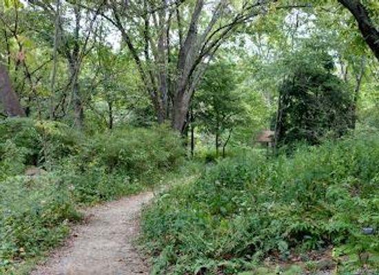 north-carolina/asheville/attraction/asheville-botanical-garden